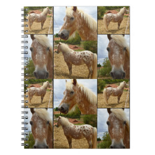 Appaloosa Horses Photo Collage, Notebook