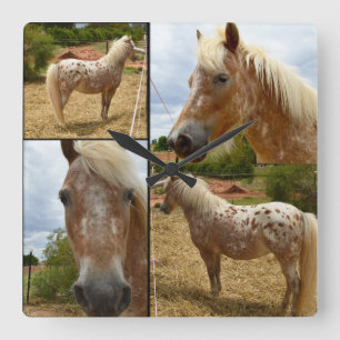 Appaloosa Horses Photo Collage, Square Wall Clock