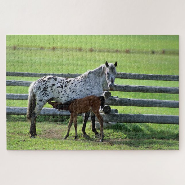 Appaloosa Mare and Colt Horse Jigsaw Puzzle (Horizontal)