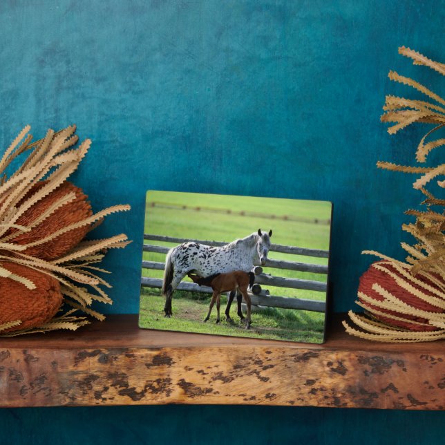 Appaloosa Mare and Colt Horse Plaque (Side)