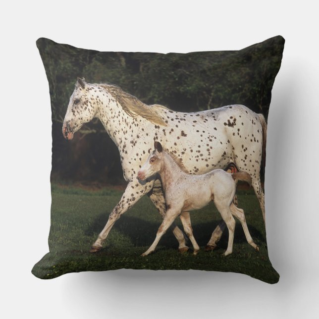 Appaloosa Mare And Foal in Field Throw Pillow (Front)