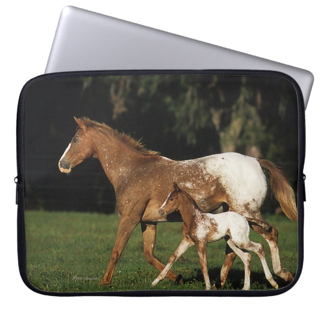 Appaloosa Mare And Foal Laptop Sleeve (Front)