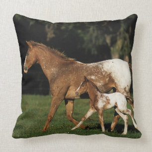Appaloosa Mare And Foal Throw Pillow