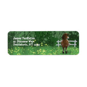 Appaloosa Painted Pony