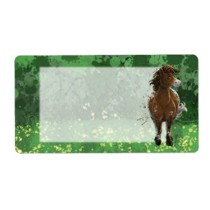 Appaloosa Peint Pony
