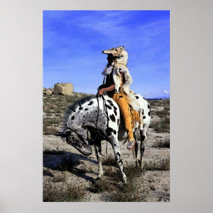 Appaloosa Souvenirs Du Passé Poster Imprimer