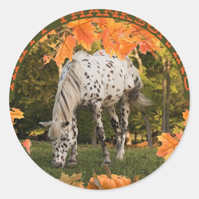 Appaloosa Thanksgiving Classic Round Sticker (Front)