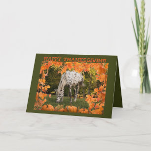 Appaloosa Thanksgiving Holiday Card