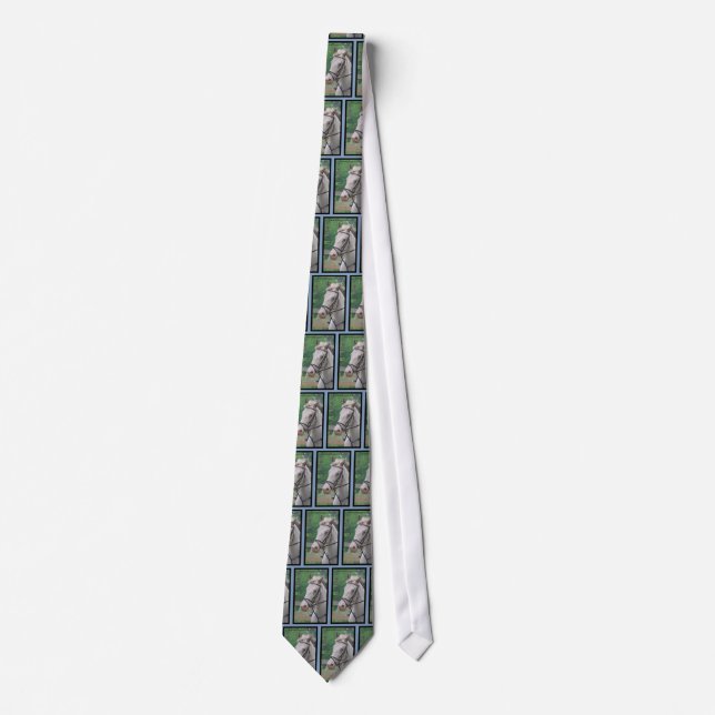 Appaloosa Tie (Front)