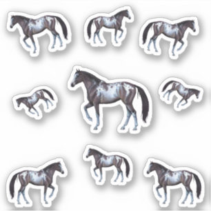 Appaloosa Western horse mare Illustration -