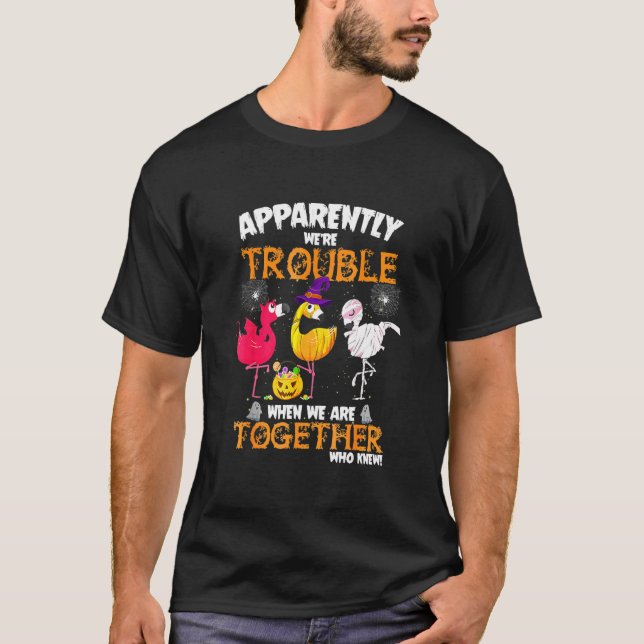 Apparently Were Trouble When We Together Flamingo  T-Shirt (Front)