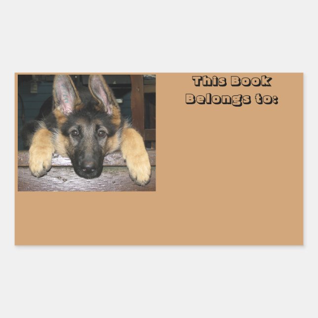 Appartient au nom Sticker (Devant)