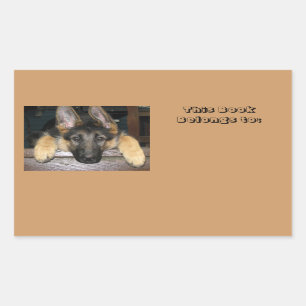 Appartient au nom Sticker