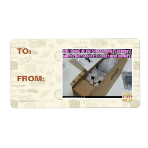Appel 1-800-LOLCATS