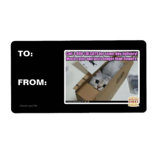 Appel 1-800-LOLCATS