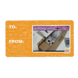 Appelez 1-800-LOLCATS