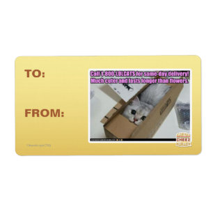 Appelez 1-800-LOLCATS
