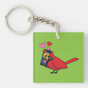 Appels d'accouplement Cardinal Bird Love