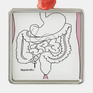 appendix kills you.png metal ornament
