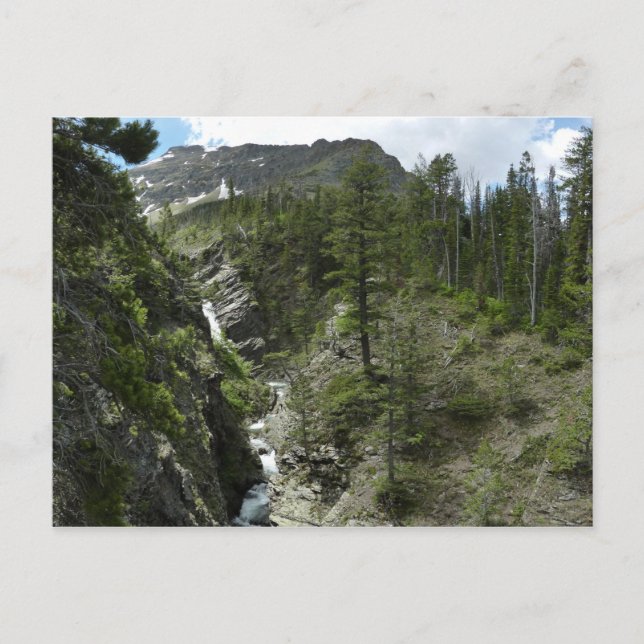 Appistoki Falls and Peak at Glacier National Park Postcard (Front)