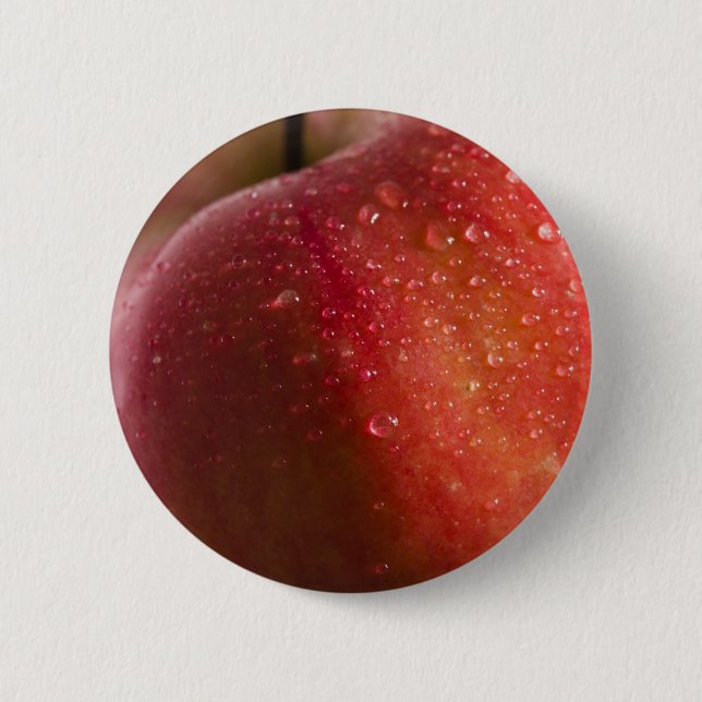 Apple 2 Inch Round Button (Front)