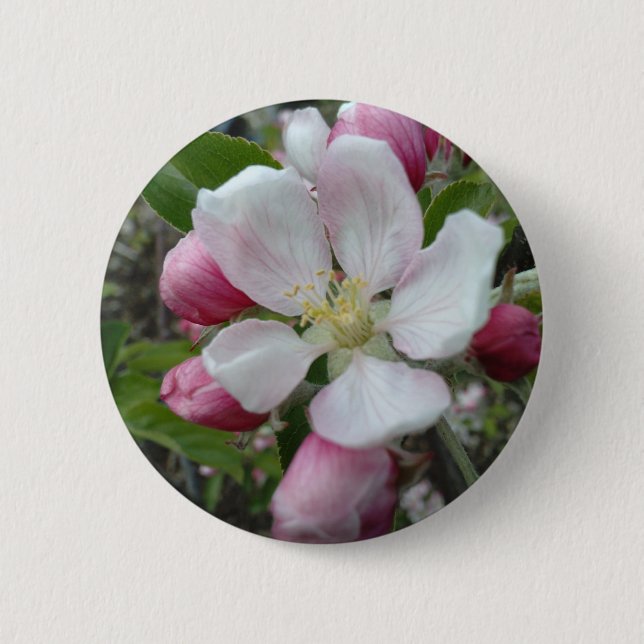 Apple Blossom 2 Inch Round Button (Front)