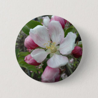 Apple Blossom 2 Inch Round Button