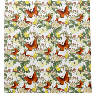 Apple blossom and Butterflies Heritage Images 