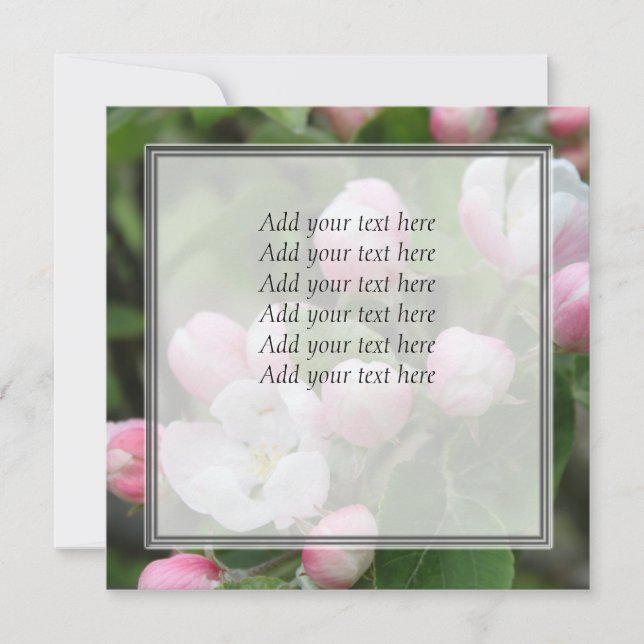 apple blossom and green leaves (Front)