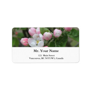 apple blossom and green leaves label