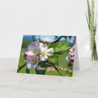 Apple Blossom Anniversary Card