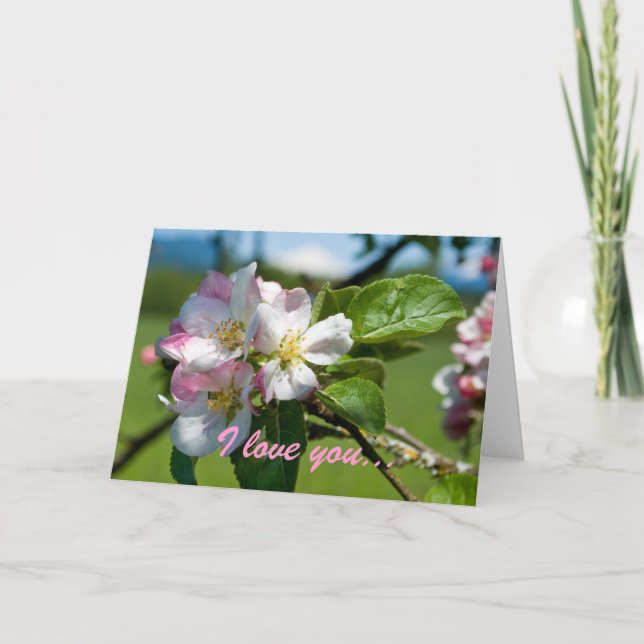 Apple Blossom Anniversary Card (Front)