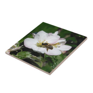 Apple Blossom & Bee Macro Photo   Ceramic Tile