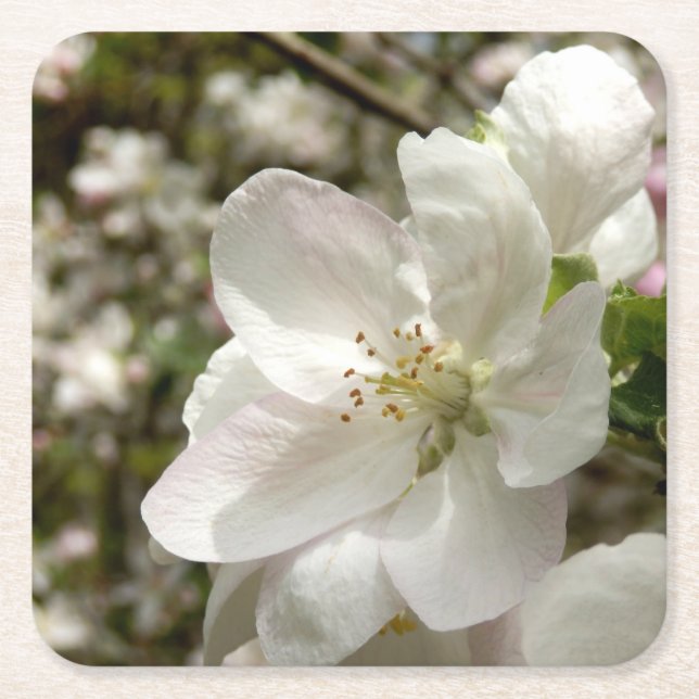 Apple Blossom Coaster (Front)