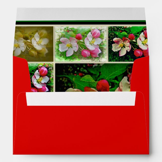 Apple Blossom Collage - Enhanced Digital Photo Envelope (Back (Bottom))