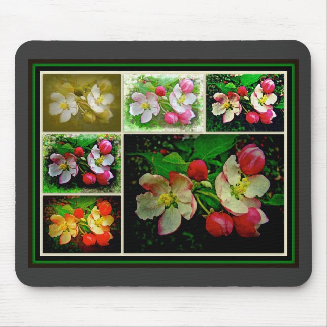 Apple Blossom Collage - Enhanced Digital Photo Mouse Pad (Front)