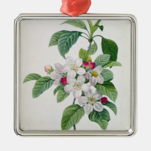 Apple Blossom, from 'Les Choix des Plus Belles Metal Ornament