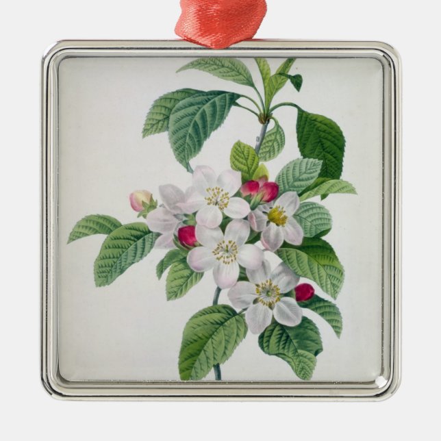 Apple Blossom, from 'Les Choix des Plus Belles Metal Ornament (Front)