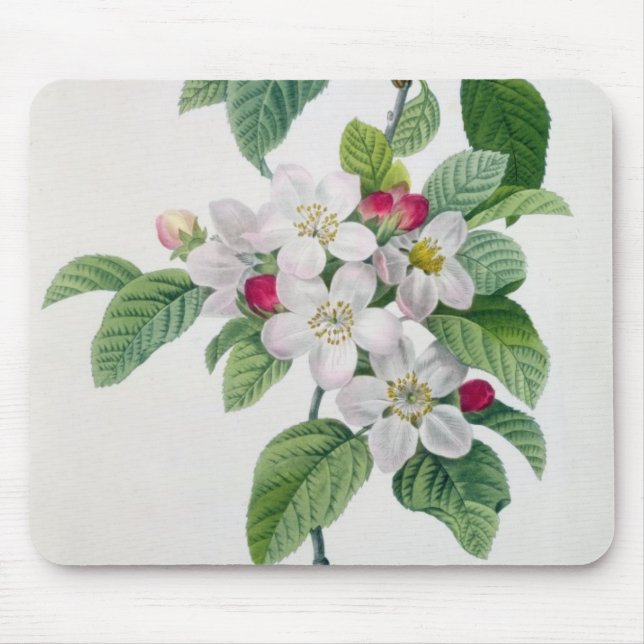 Apple Blossom, from 'Les Choix des Plus Belles Mouse Pad (Front)