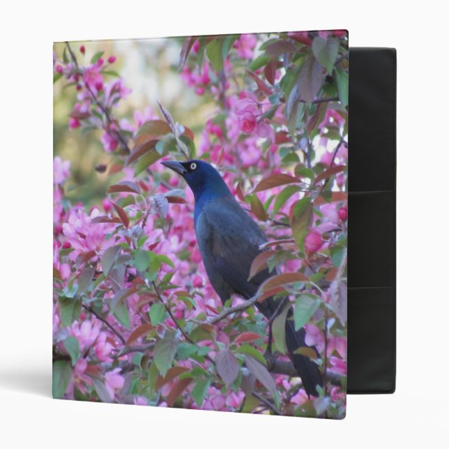 Apple Blossom Grackle Binder (Front/Inside)