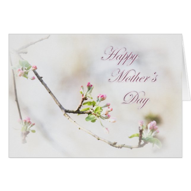 Apple Blossom Mother's Day Greeting Card - Buds (Front Horizontal)