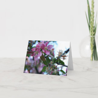 Apple Blossom Notecard 1