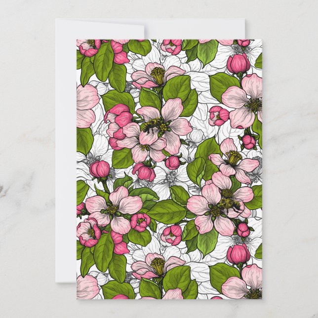 Apple blossom on white (Front)