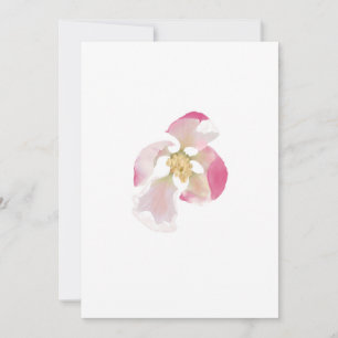 Apple Blossom Opening Holiday Card