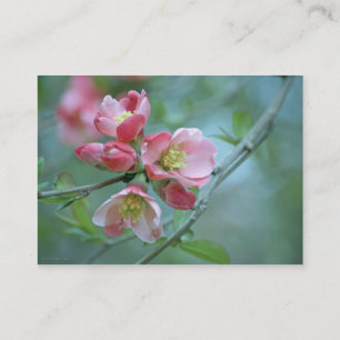 Apple Blossom #P0356 Mini Print Business Card