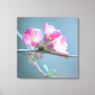 Apple Blossom #P0358 Wrapped Canvas