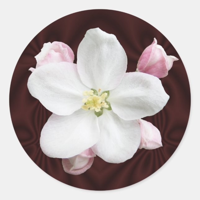 Apple Blossom ~ sticker (Front)