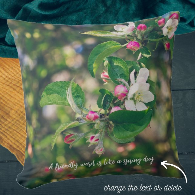 Apple blossom throw pillow (Creator Uploaded)