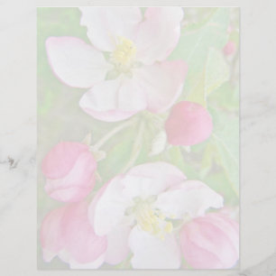 Apple Blossom Time