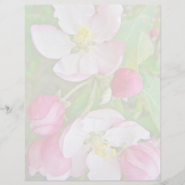 Apple Blossom Time (Front)